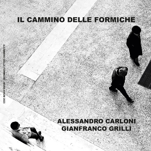 Il cammino delle formiche