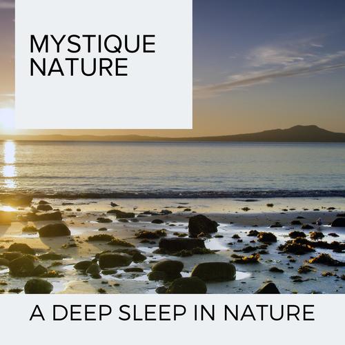 Mystique Nature - A Deep Sleep In Nature