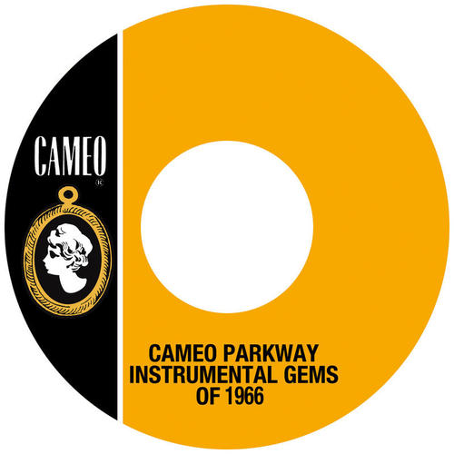 Cameo Parkway Instrumental Gems Of 1966