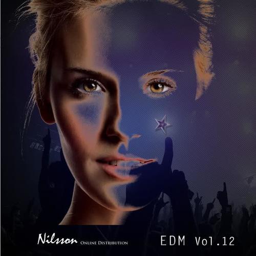 EDM, Vol. 12