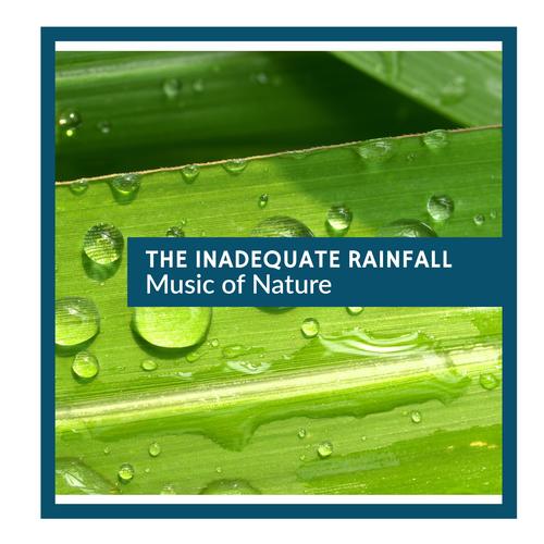 The Inadequate Rainfall - Music of Nature