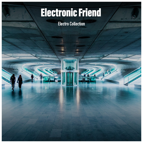 Electronic Friend Electro Collection