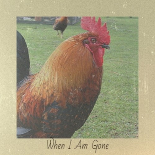When I Am Gone