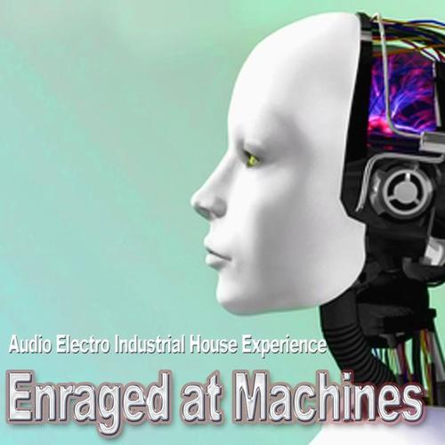 Audio Electro Industrial House Experience