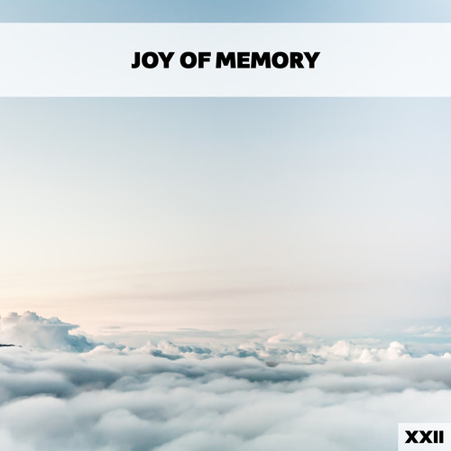 Joy Of Memory XXII