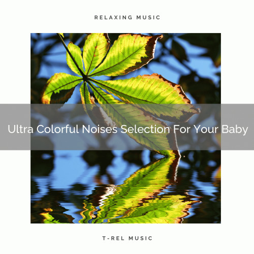 Ultra Colorful Noises Selection For Your Baby