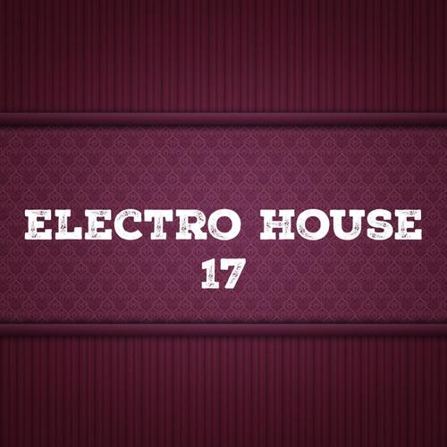 Electro House, Vol. 17