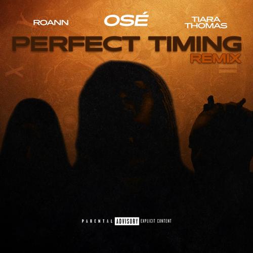 Perfect Timing (Remix) [Explicit]