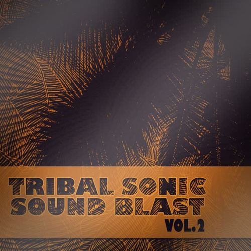 Tribal Sonic Soundblast,Vol.2