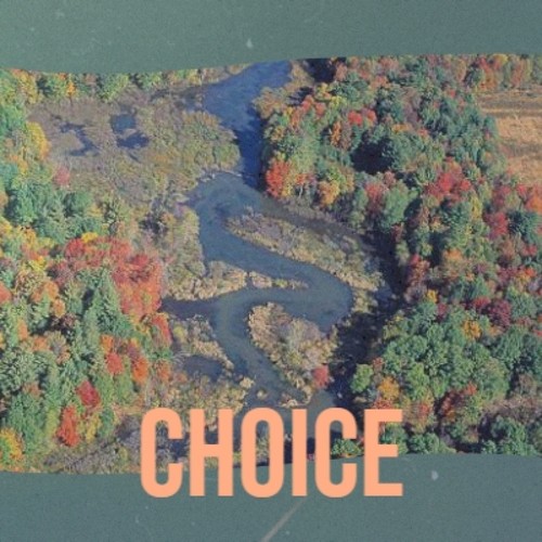 Choice