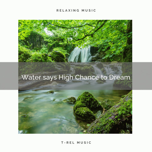 Water says High Chance to Dream