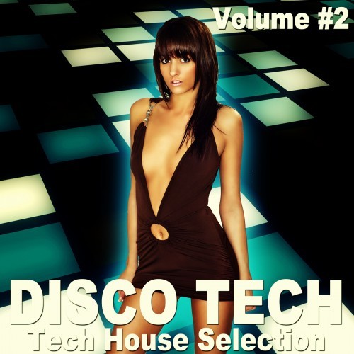 Disco Tech, Vol. 2 (Tech House Selection)