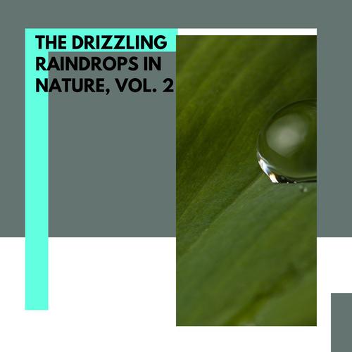 The Drizzling Raindrops in Nature, Vol. 2