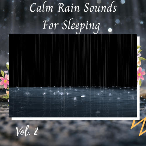 Calm Rain Sounds For Sleeping Vol. 2