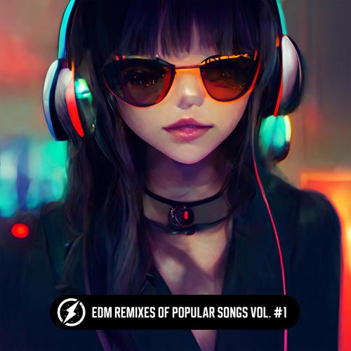 EDM Remixes of Popular Songs Vol. #1