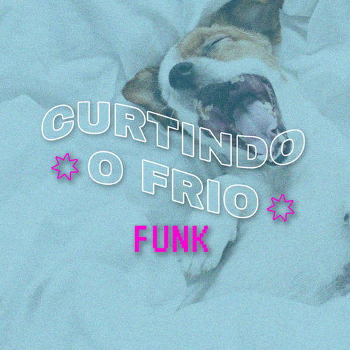 Curtindo o Frio Funk (Explicit)