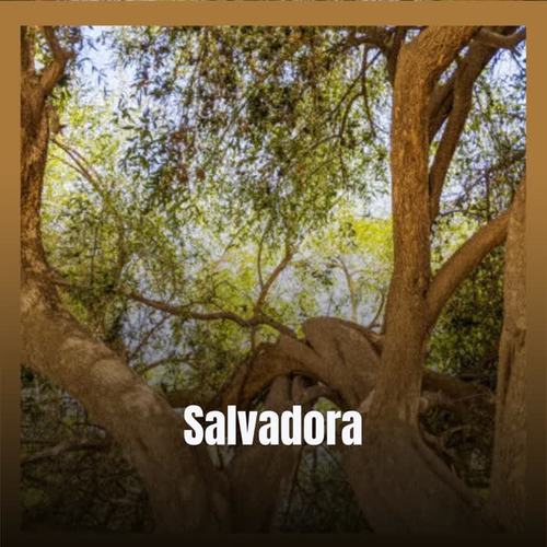 Salvadora