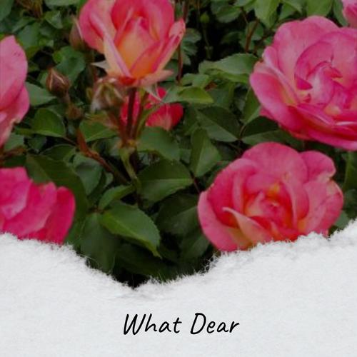 What Dear