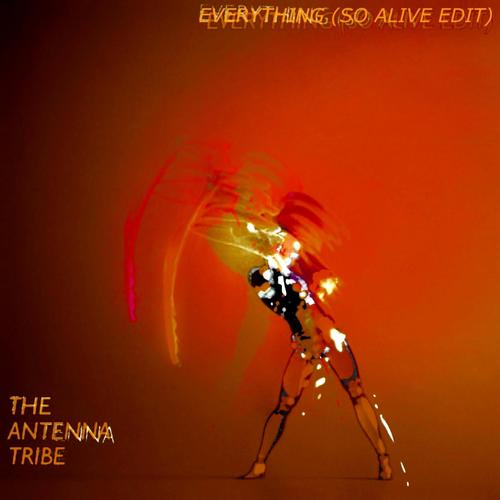 Everything (So Alive Edit) (feat. Silke)