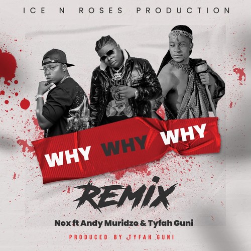 Why Why Why Remix