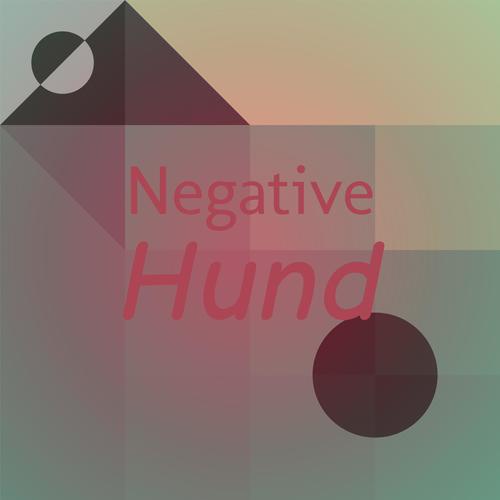 Negative Hund