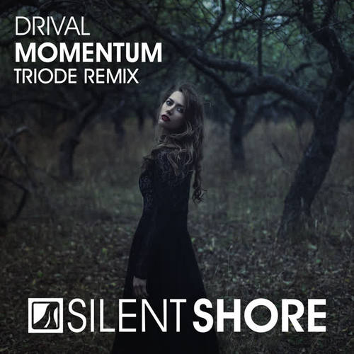 Momentum (Triode Remix)