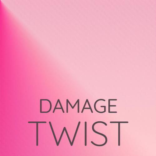 Damage Twist