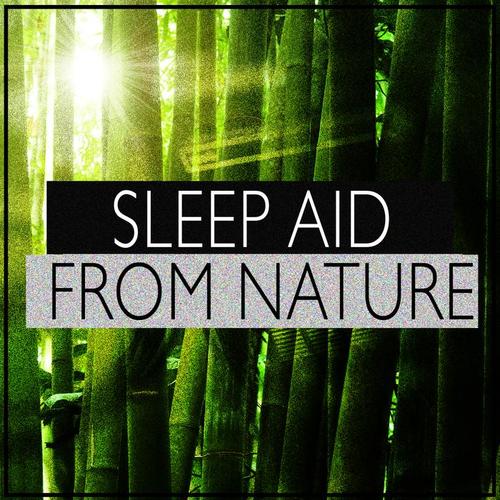 Sleep Aid from Nature