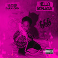 Hello Somebody (Explicit)