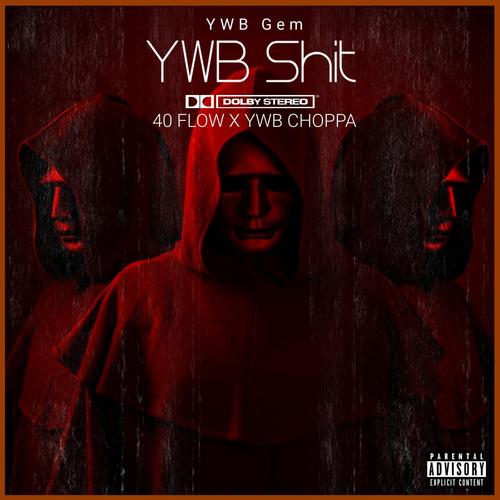 YWB **** (feat. 40 Flow & YWB Choppa) [Explicit]