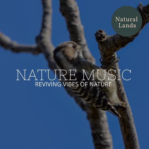 Nature Music - Reviving Vibes of Nature