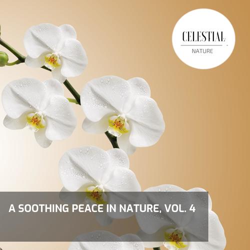 A Soothing Peace in Nature, Vol. 4