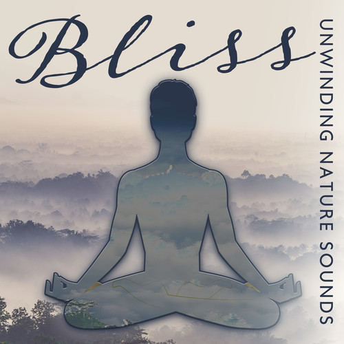 Bliss: Unwinding Nature Sounds - Spiritual Connections, Positive Energy Bonds, Chill & Relaxation