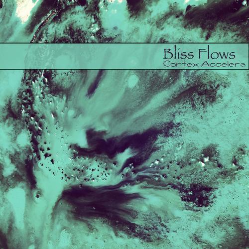 Bliss Flows