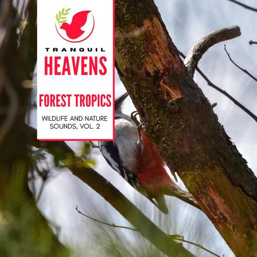 Forest Tropics - Wildlife and Nature Sounds, Vol. 2