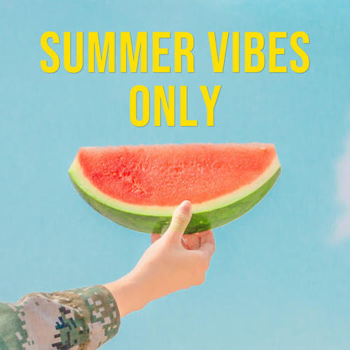 Summer Vibes Only (Explicit)