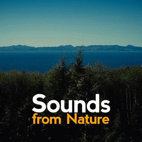 Sounds from Nature