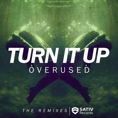 Turn It Up (The Remixes)