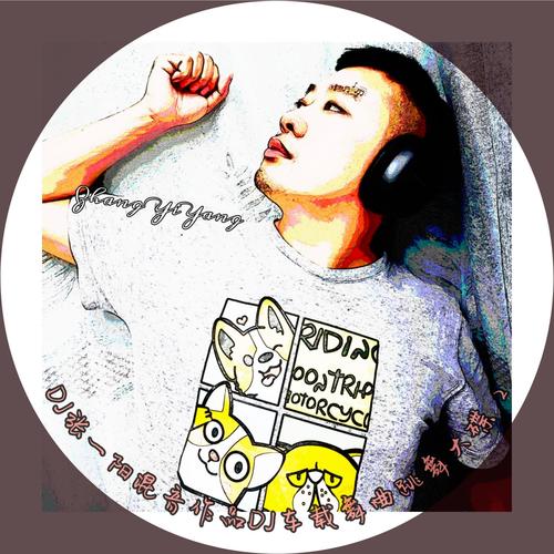 DJ张一阳混音作品DJ车载舞曲跳舞大碟 2