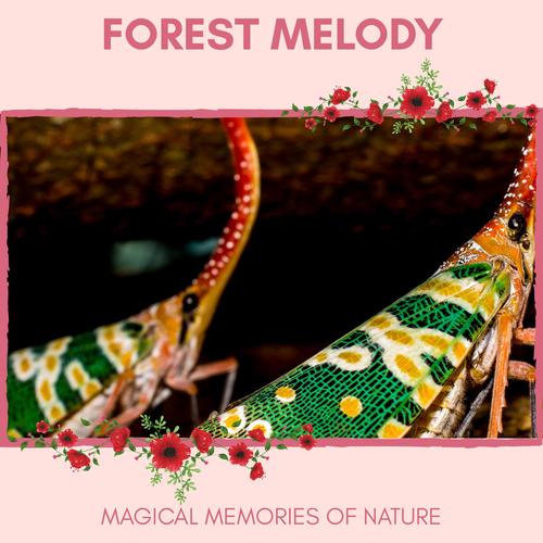 Forest Melody - Magical Memories of Nature