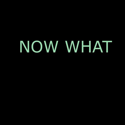 NOW WHAT (Explicit)