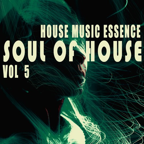 Soul of House, Vol. 5