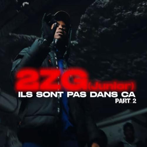 Ils sont pas dans ça #2 (feat. 2ZG) [Explicit]