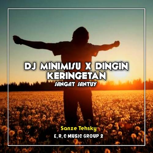 DJ MENIMISU X DINGIN KERINGETAN SANGAT SANTUY