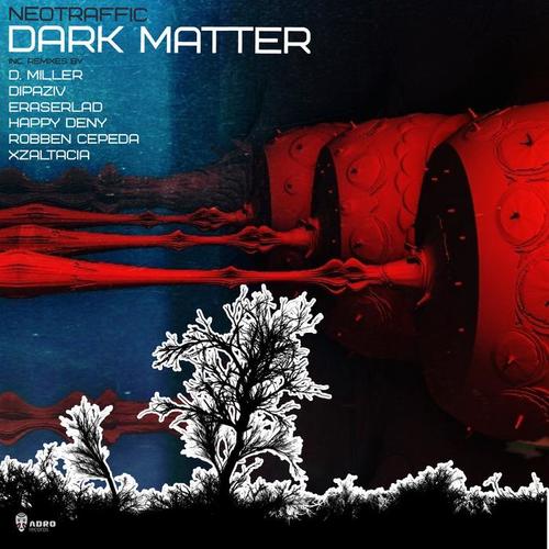 Dark Matter