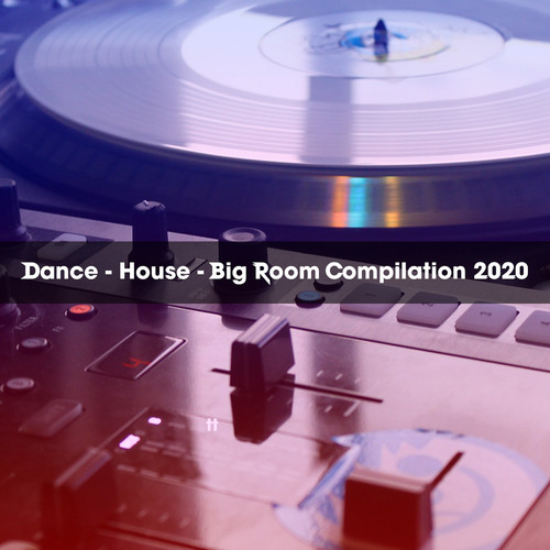 DANCE - HOUSE - BIG ROOM COMPILATION 2020