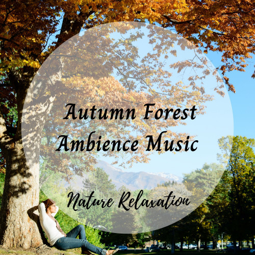 Nature Relaxation: Autumn Forest Ambience Music