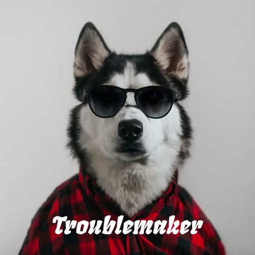 Troublemaker