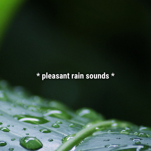* pleasant rain sounds *