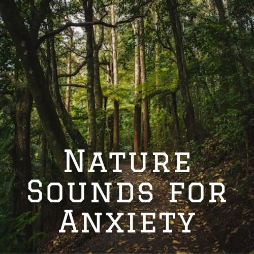 Nature Sounds for Anxiety